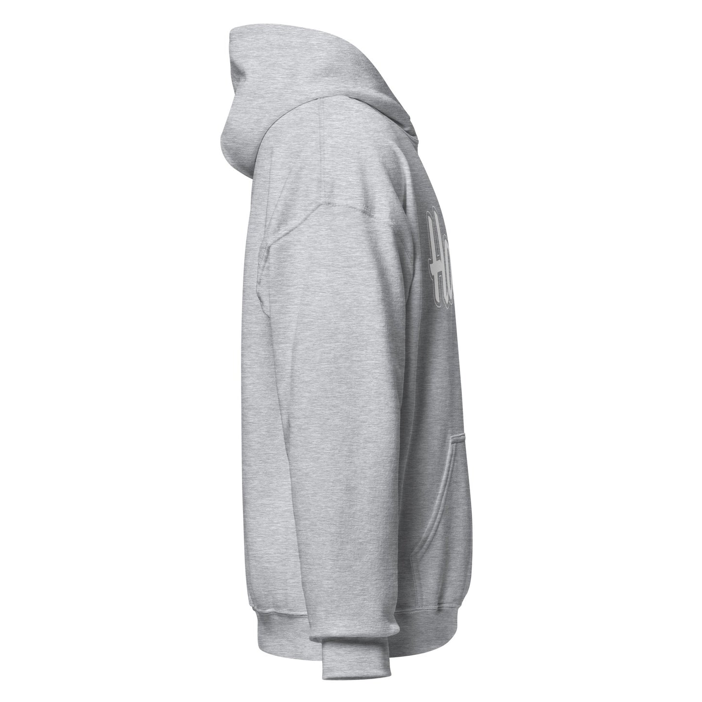 HAWAII CLASSIC HERREN HOODIE - usa - hoodies.de