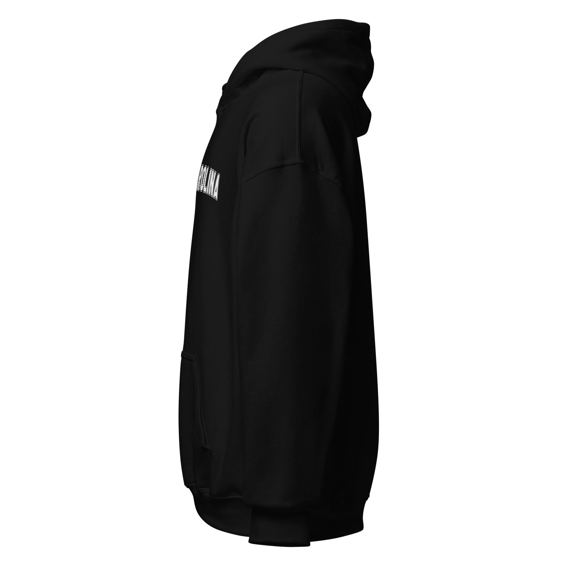 SOUTH CAROLINA CLASSIC HERREN HOODIE - usa - hoodies.de