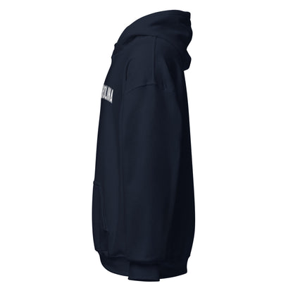 SOUTH CAROLINA CLASSIC HERREN HOODIE - usa - hoodies.de
